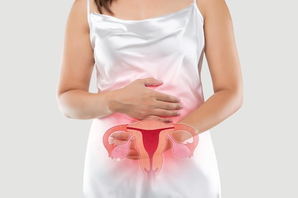 A Comprehensive Guide To Uterine Fibroids Dr Pooja Bajaj Wadhwa