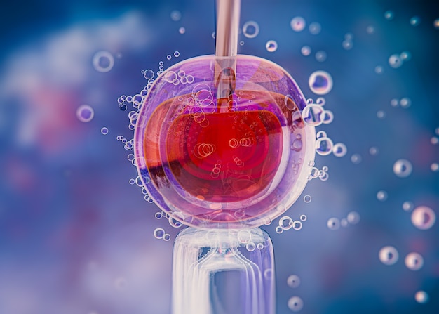 IVF specialist frozen embryo transfer